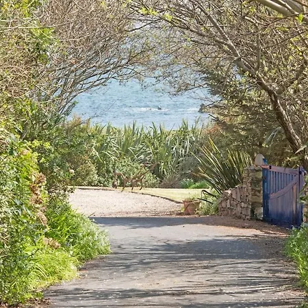 Dolphin Beach Country House *